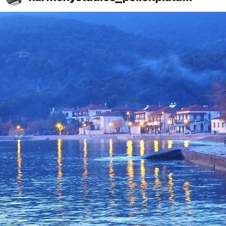 プラタニアスHarmony Seaside Pelionアパートメント エクステリア 写真