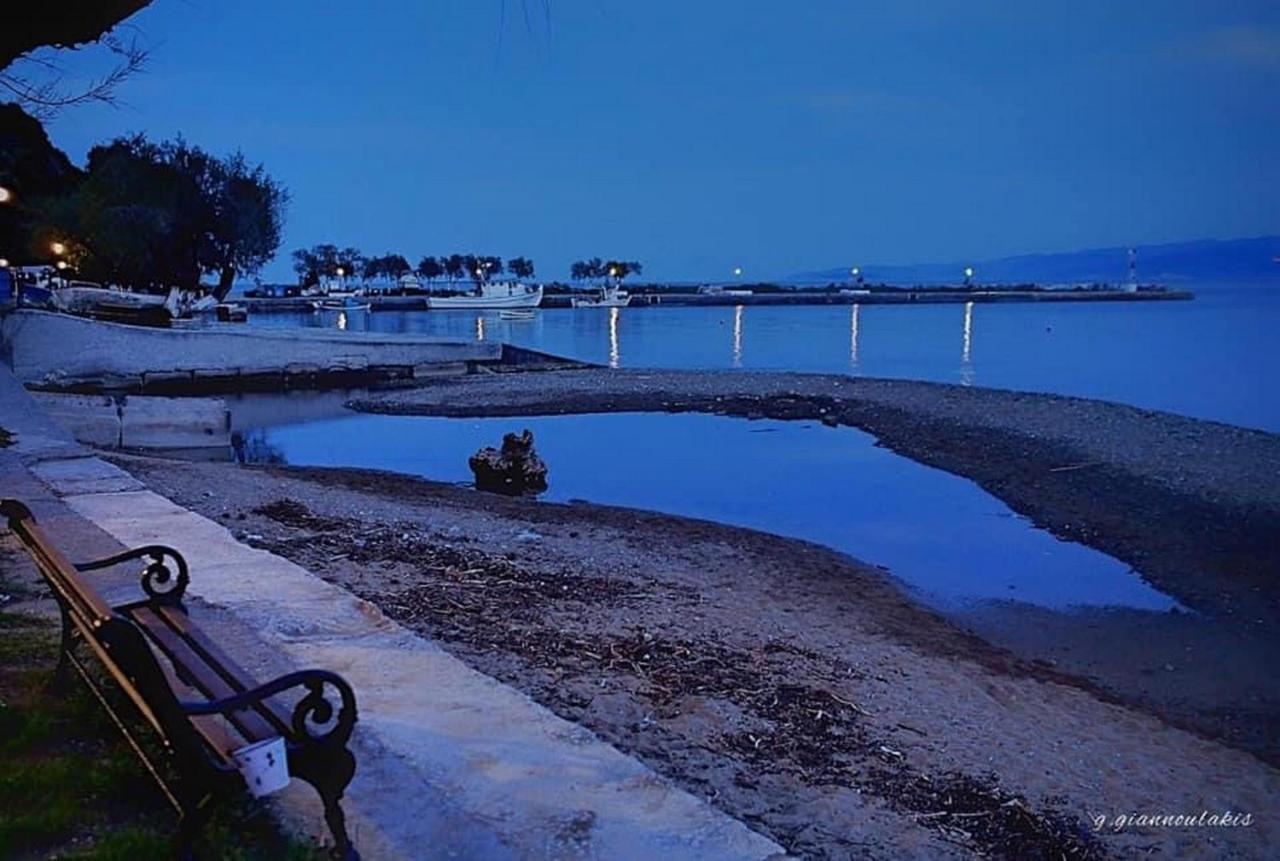 プラタニアスHarmony Seaside Pelionアパートメント エクステリア 写真
